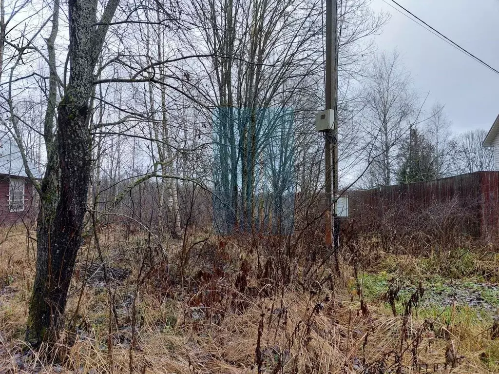 Участок в Москва Тетеринки СНТ, 3 (12.0 сот.) - Фото 1