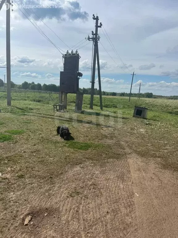 Участок в Тверская область, Старицкий муниципальный округ, деревня ... - Фото 0