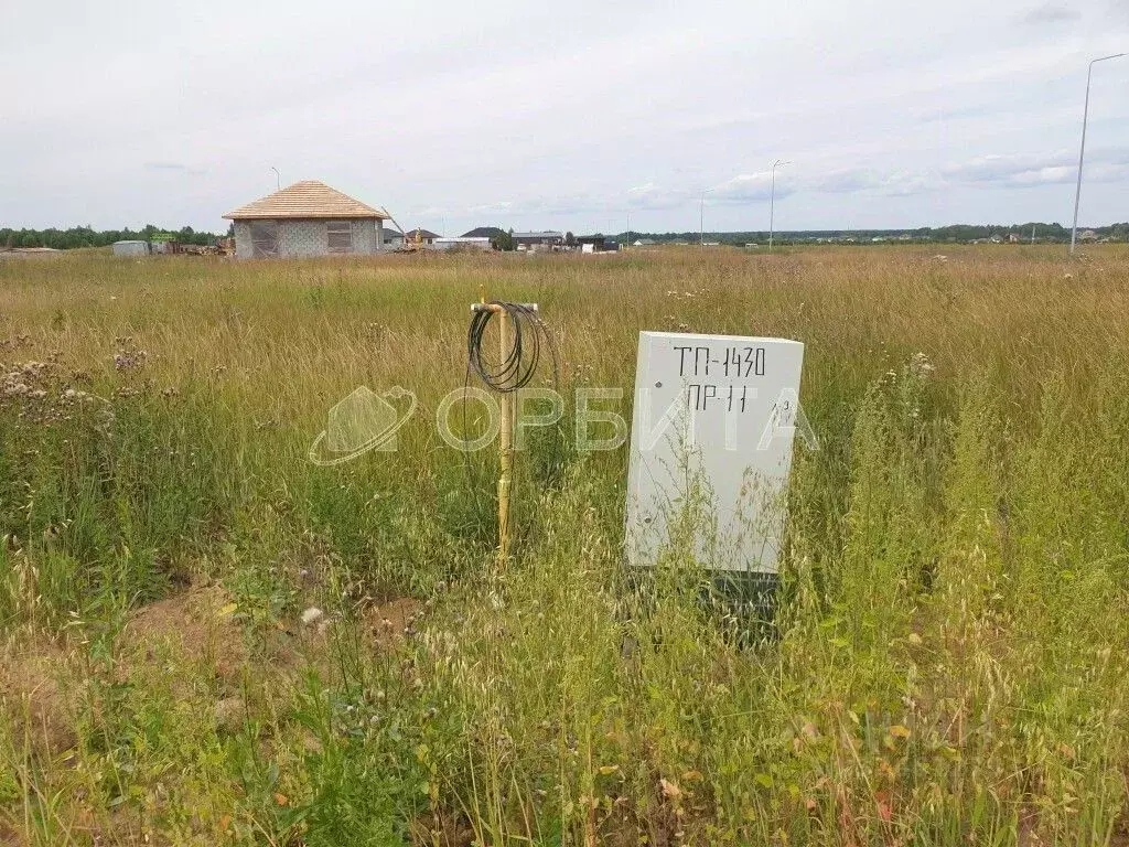 Участок в Тюменская область, Тюменский муниципальный округ, Каменское ... - Фото 1