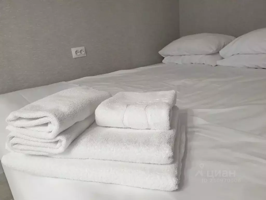 1-к кв. Карелия, Петрозаводск ул. Шотмана, 20 (37.0 м) - Фото 0