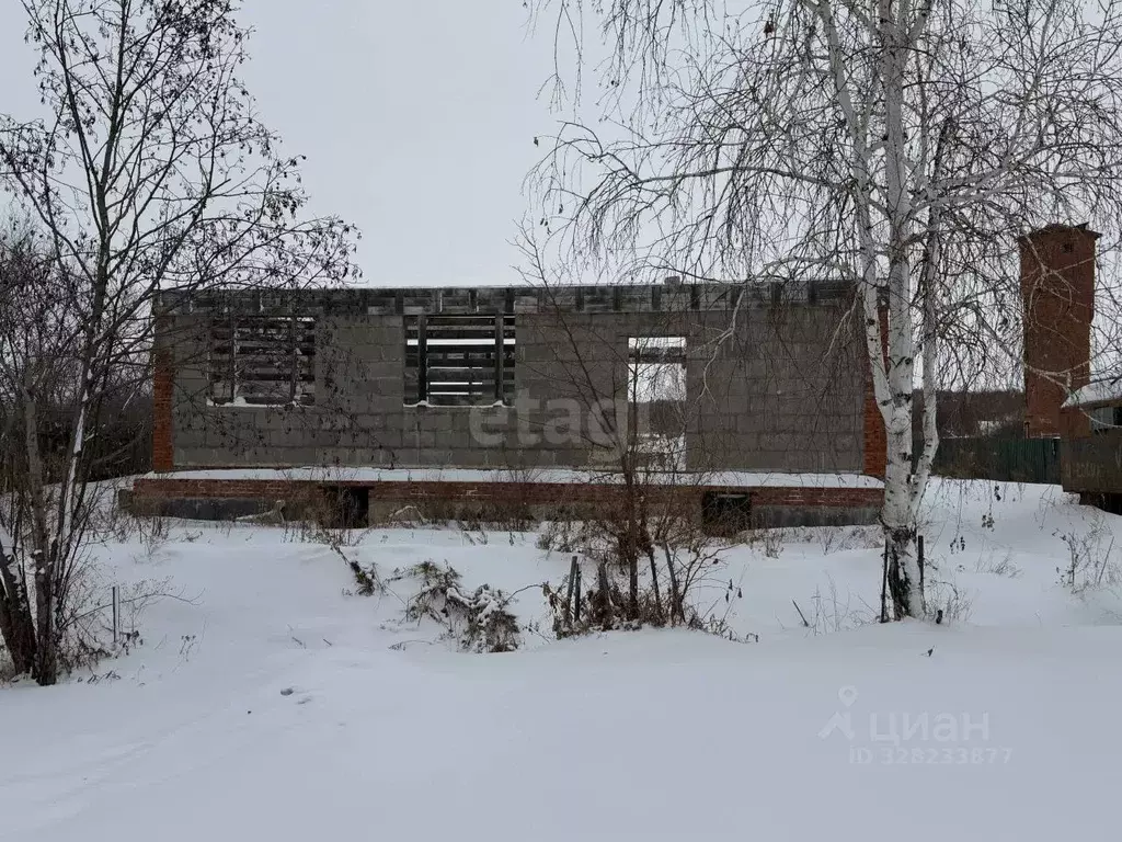 Дом в Амурская область, Серышевский муниципальный округ, с. Бочкаревка ... - Фото 1