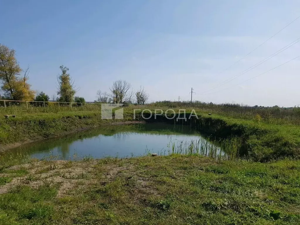 Участок в Новосибирская область, Колыванский район, Союз силовых ... - Фото 0