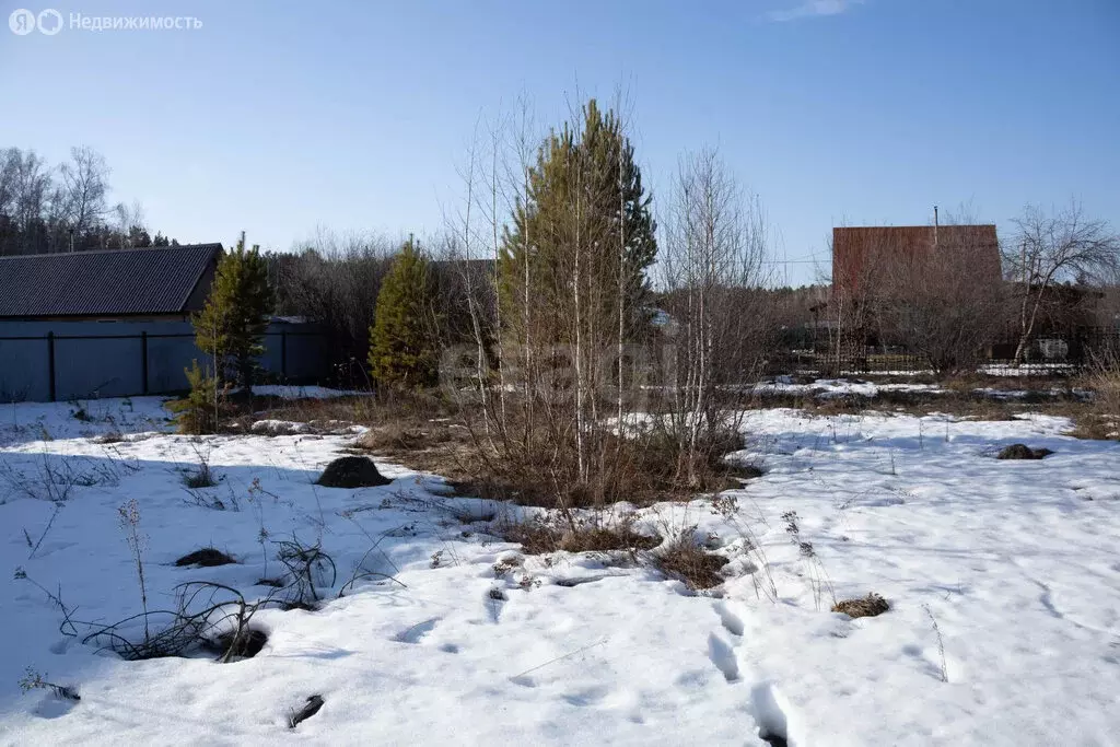 Участок в Курганская область, Кетовский муниципальный округ, СНТ ... - Фото 2