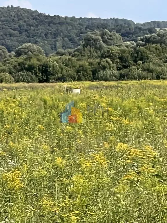Участок в Тульская область, Ясногорский район, Теляковское с/пос, д. ... - Фото 1