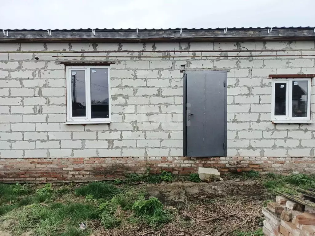 Дом в Белгородская область, Волоконовский район, с. Староивановка ... - Фото 1