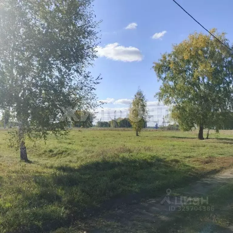 Участок в Новосибирская область, Новосибирский район, Верх-Тулинский ... - Фото 1