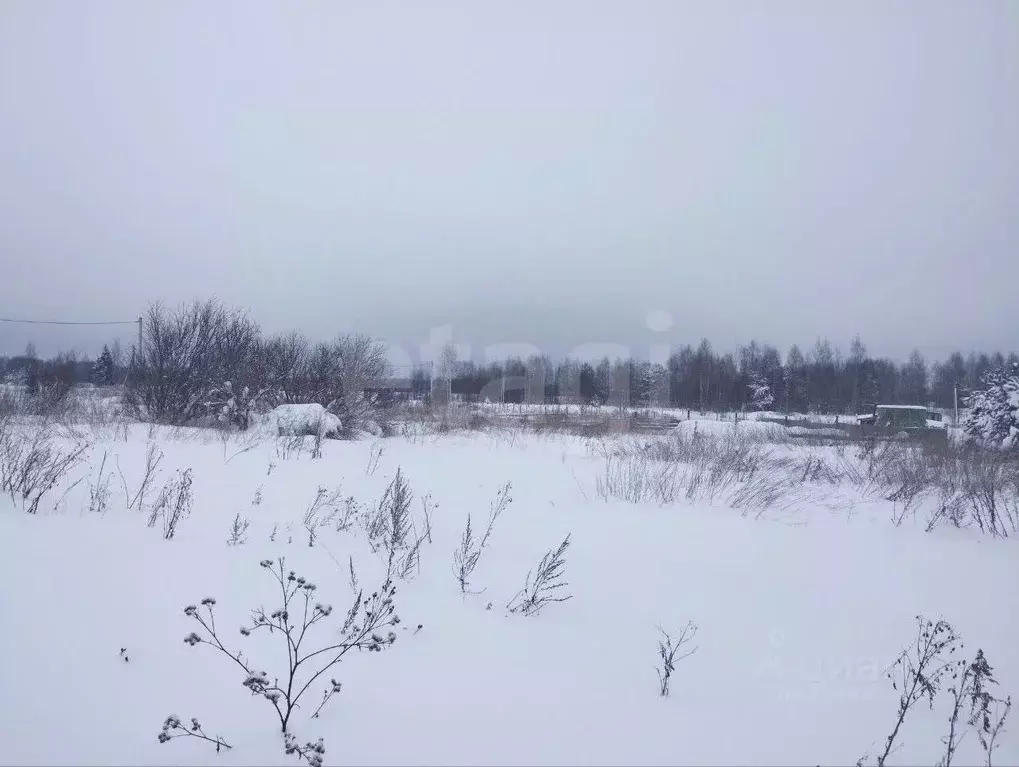 Участок в Тверская область, Калининский муниципальный округ, д. Старое ... - Фото 2