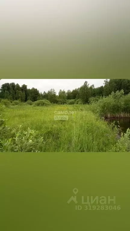 Участок в Тюменская область, Нижнетавдинский район, Геофизик 2 СНТ  ... - Фото 0