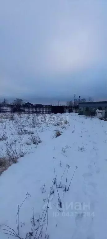 Участок в Нижегородская область, Выкса городской округ, с. Нижняя ... - Фото 0