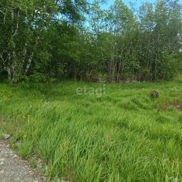 Участок в Камчатский край, Елизовский район, с. Коряки Зеленая ул. ... - Фото 1