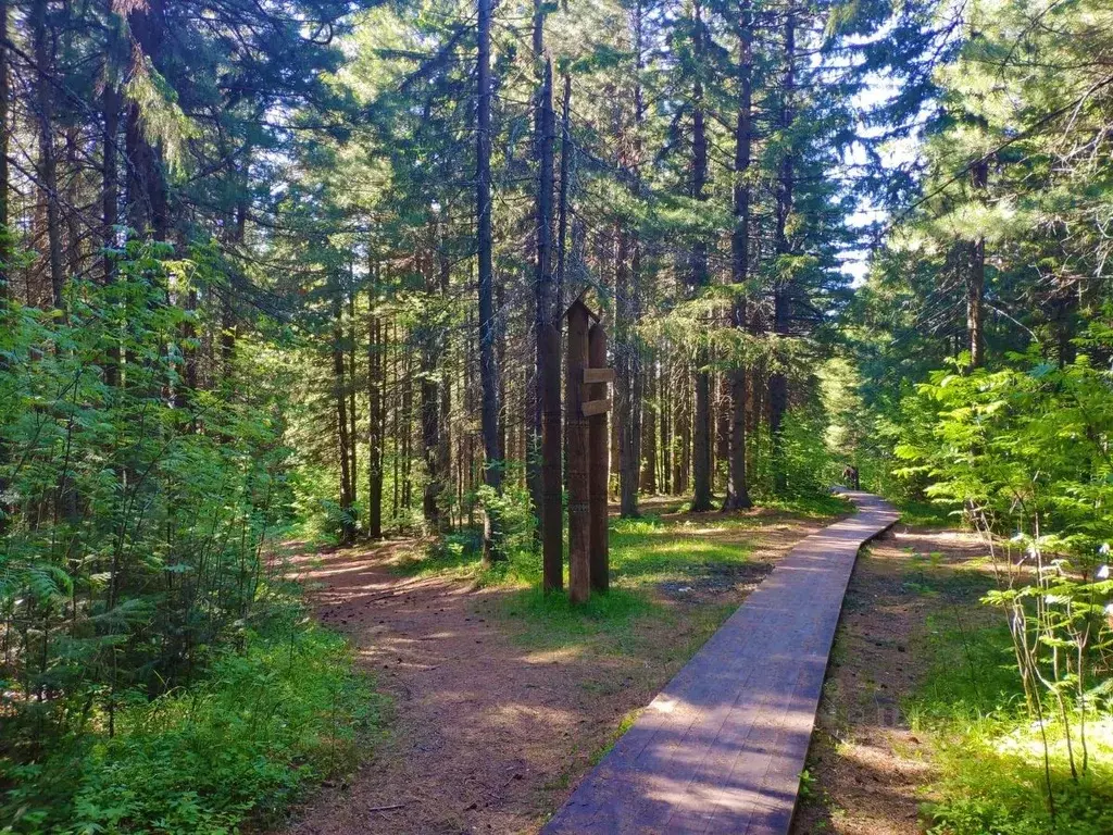 Дом в Ханты-Мансийский АО, Ханты-Мансийск ул. Ленина, 3 (147 м) - Фото 0