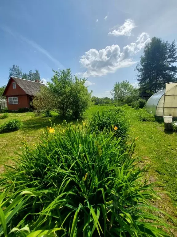 Дом в Московская область, Клин городской округ, д. Семчино  (60 м) - Фото 1