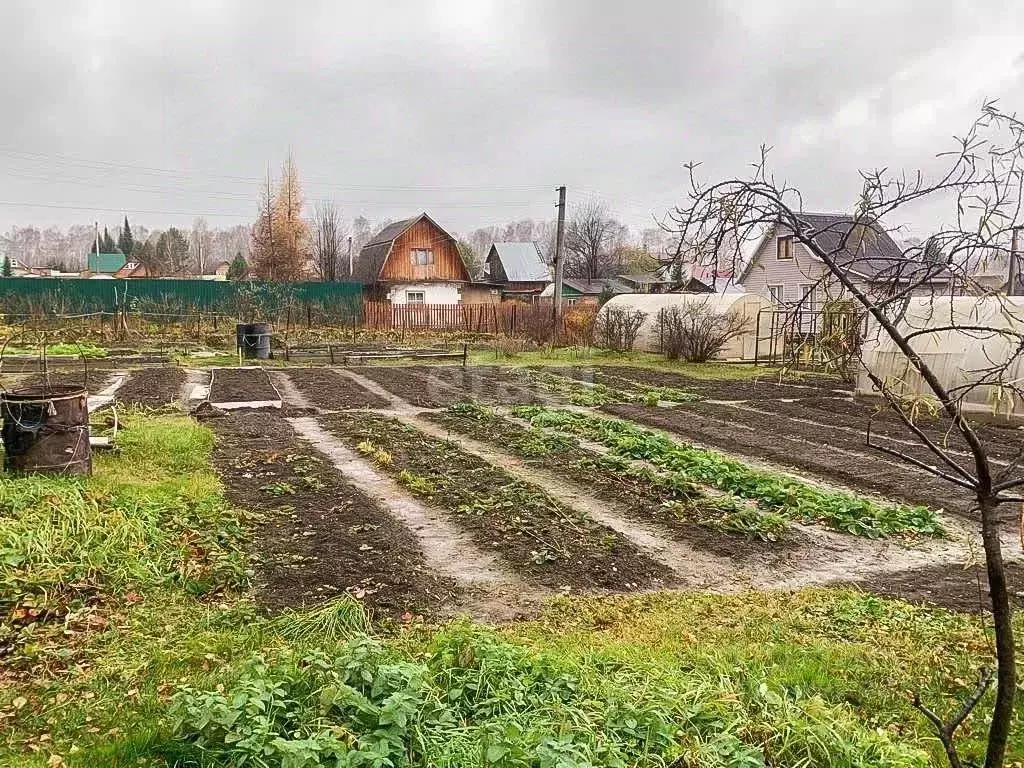 Дом в Новосибирская область, Новосибирский район, Барышевский ... - Фото 0