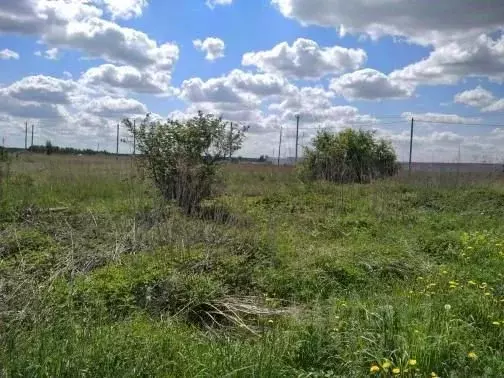 Участок в Московская область, Балашиха городской округ, д. Дятловка . - Фото 0