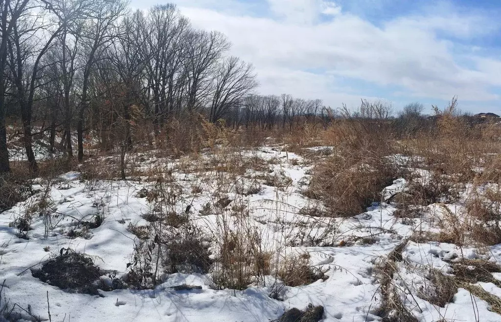 Участок в Приморский край, Уссурийск ул. Казачья (8.1 сот.) - Фото 1