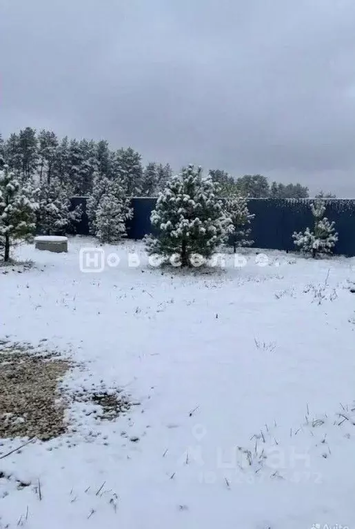 Участок в Рязанская область, Рязанский муниципальный округ, с. ... - Фото 1