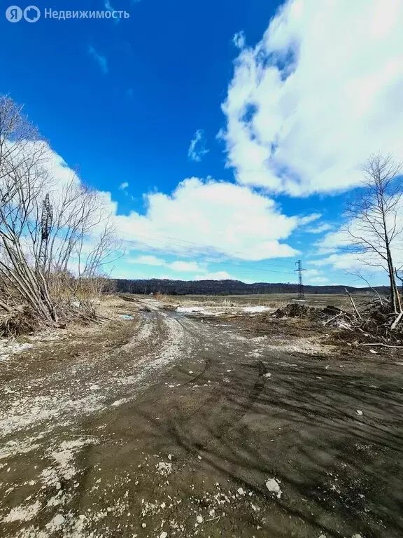 Участок в посёлок Пионерский, Лесная улица (15 м) - Фото 1
