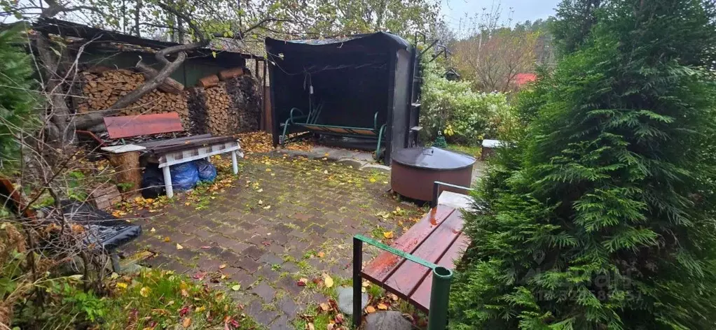 Участок в Новосибирская область, Новосибирск Кооператор садовое ... - Фото 2