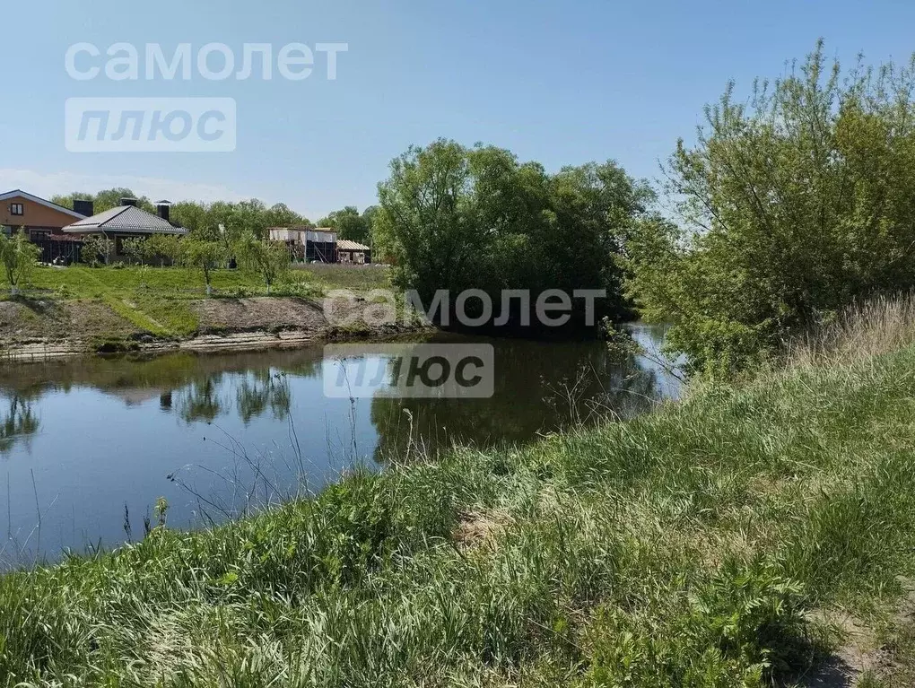 Участок в Курская область, Курский район, Клюквинский сельсовет, с. ... - Фото 1