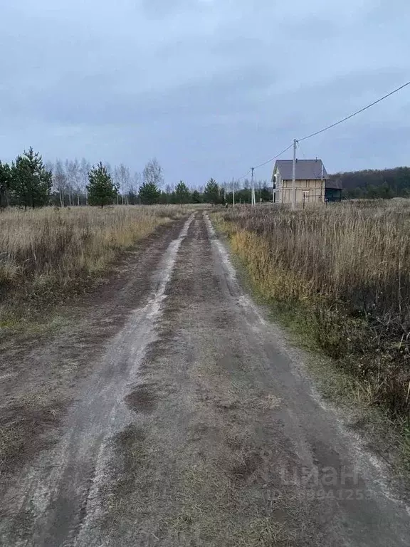 Участок в Тамбовская область, Тамбовский муниципальный округ, Новая ... - Фото 1