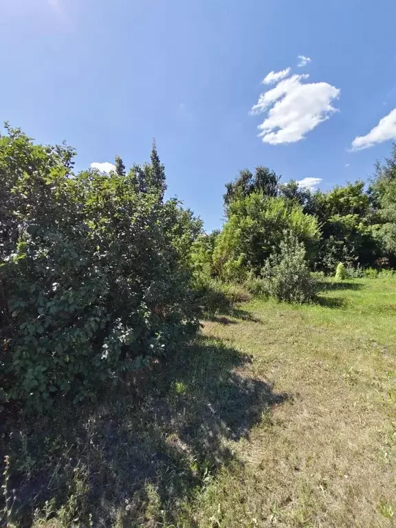 Участок в Саратовская область, Энгельсский район, Красноярское ... - Фото 1