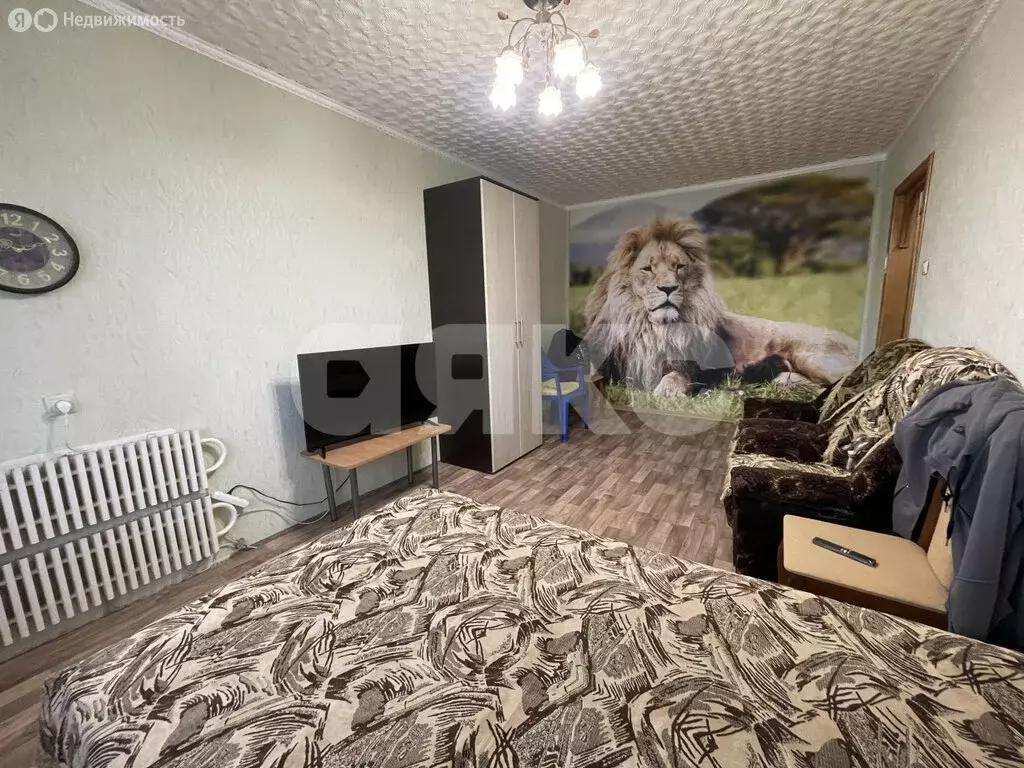 1-комнатная квартира: деревня Чемодурово, Центральная улица, 13 (34 м) - Фото 1