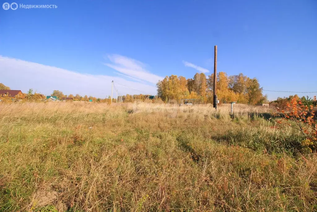 Участок в Первомайский район, посёлок Новый, улица Есенина, 6 (12 м) - Фото 1