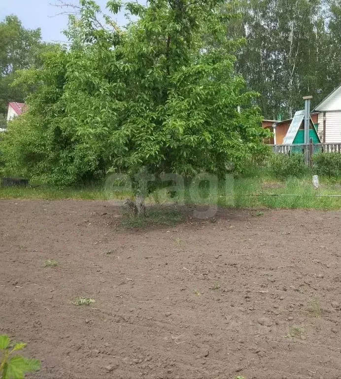 Участок в Курганская область, с. Кетово, Урожай СНТ  (6.3 сот.) - Фото 2