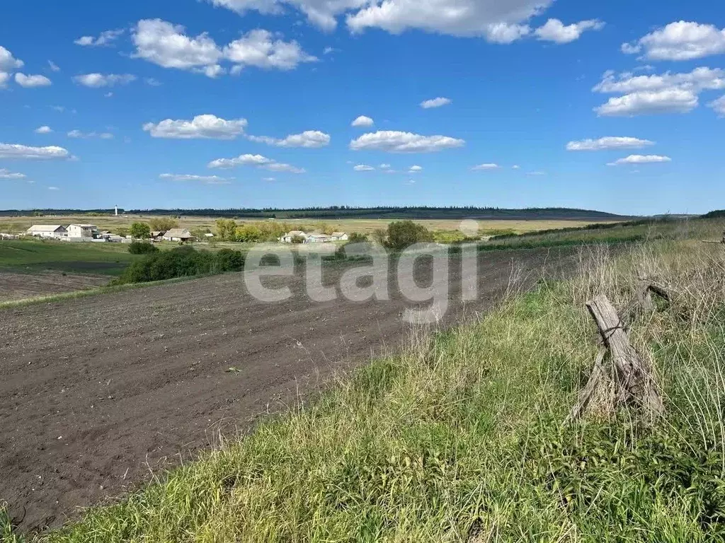 Участок в Белгородская область, Алексеевский городской округ, с. ... - Фото 0