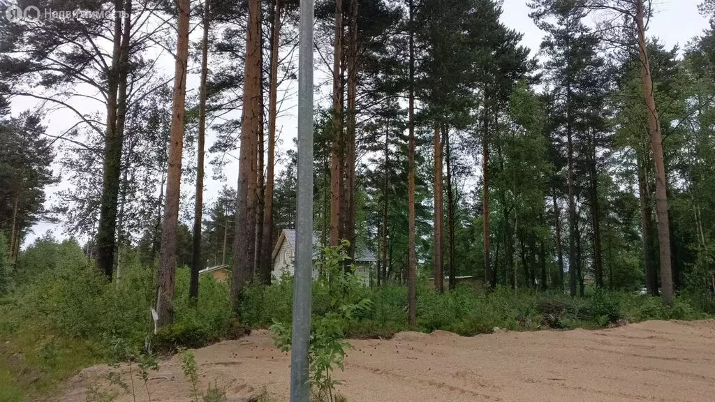 Участок в Шлиссельбург, СНТ Шлиссельбуржец (9.4 м) - Фото 2