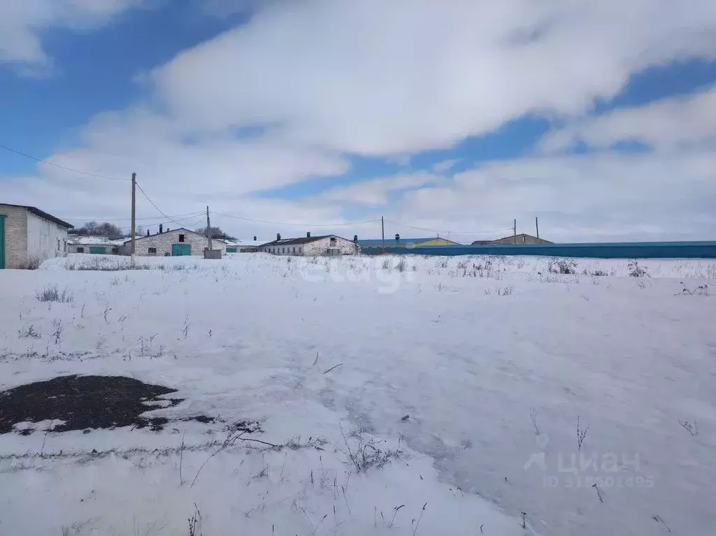 Склад в Башкортостан, Кармаскалинский район, Шаймуратовский сельсовет, ... - Фото 2