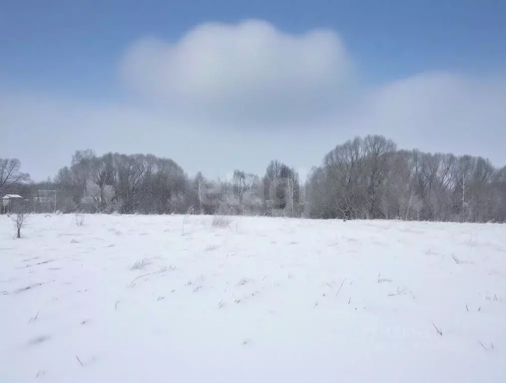 Участок в Тульская область, Узловский район, Каменецкое с/пос, д. ... - Фото 2