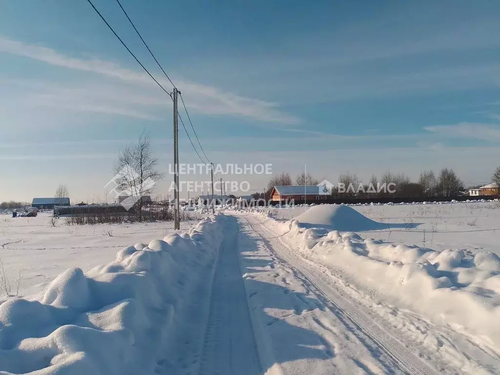Участок в Рязанская область, Рязанский муниципальный округ, с. ... - Фото 2