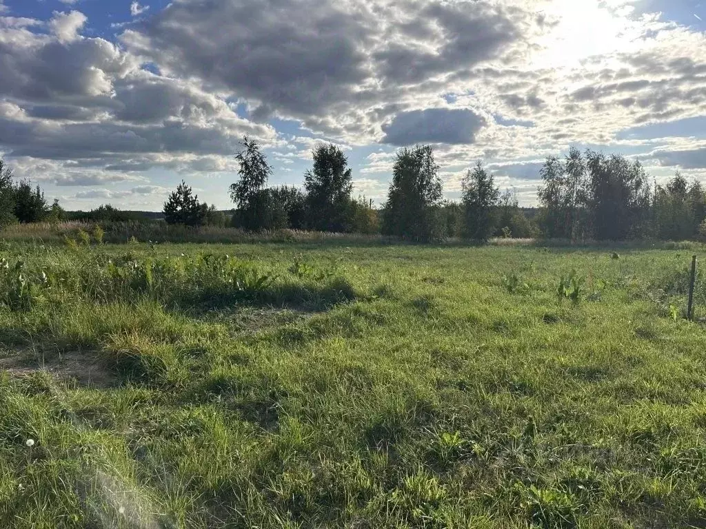 Участок в Нижегородская область, Нижний Новгород с. Большое Мокрое,  ... - Фото 1