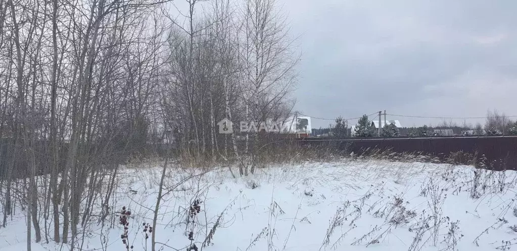 Участок в Нижегородская область, Богородский муниципальный округ, д. ... - Фото 0