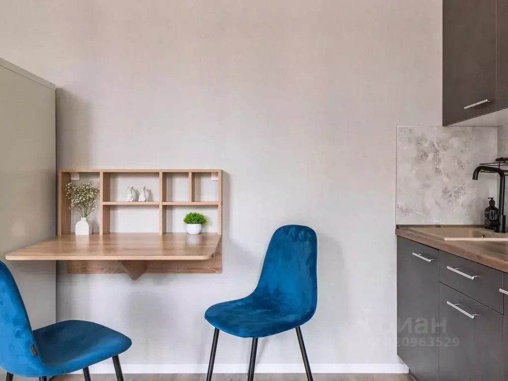 1-к кв. Санкт-Петербург пос. Шушары, ул. Нины Петровой, 6к1 (25.0 м) - Фото 1