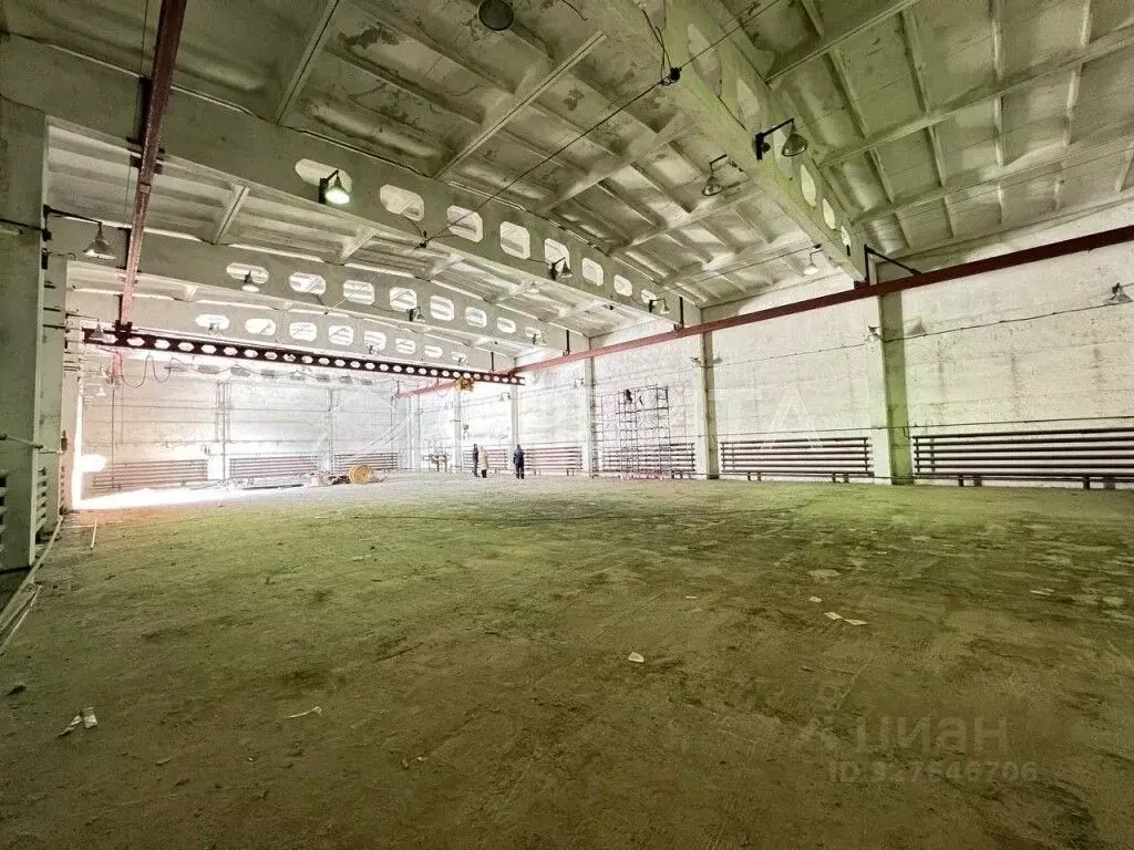 Склад в Тюменская область, Тюмень Одесская ул., 1с38 (580 м) - Фото 1