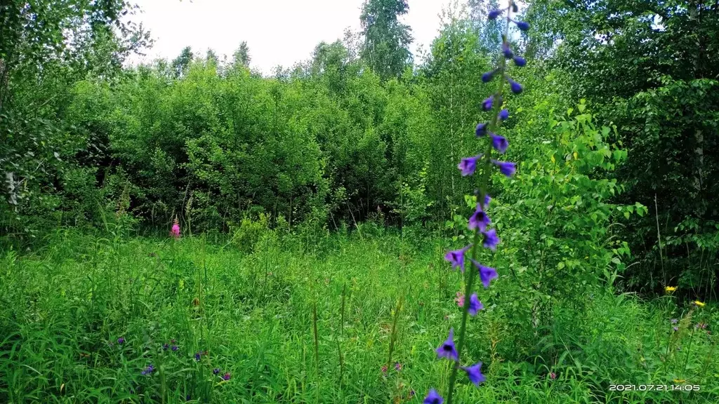 Участок в Иркутская область, Иркутск Славный мкр,  (8.5 сот.) - Фото 1