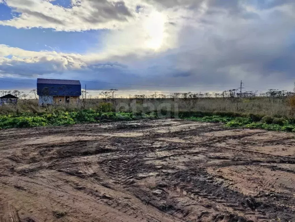 Участок в Псковская область, Псковский район, Завеличенская волость, ... - Фото 1