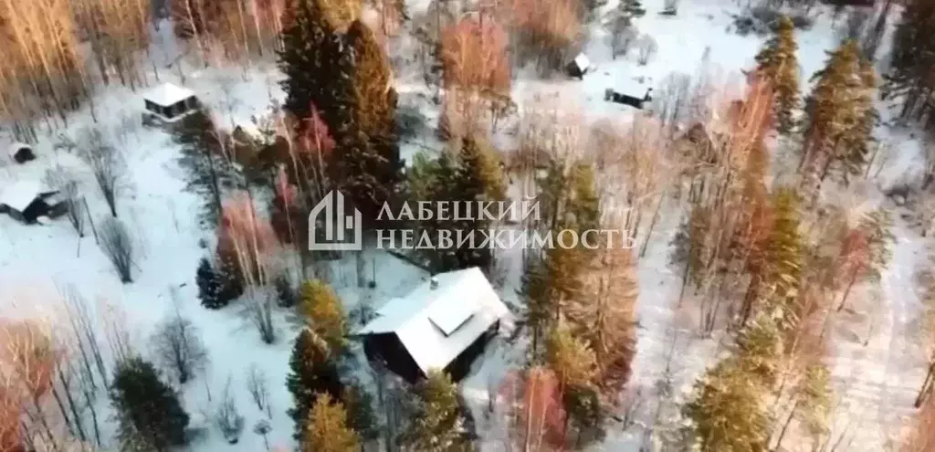 Дом в Ленинградская область, Выборгский район, Каменногорское ... - Фото 1