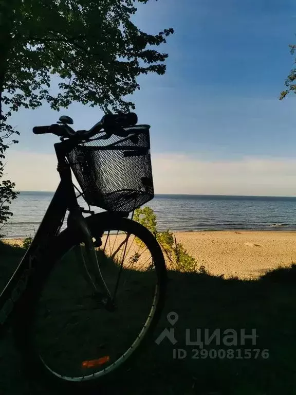 2-к кв. Калининградская область, Зеленоградск ул. Римская, 5к1 (35.0 ... - Фото 1