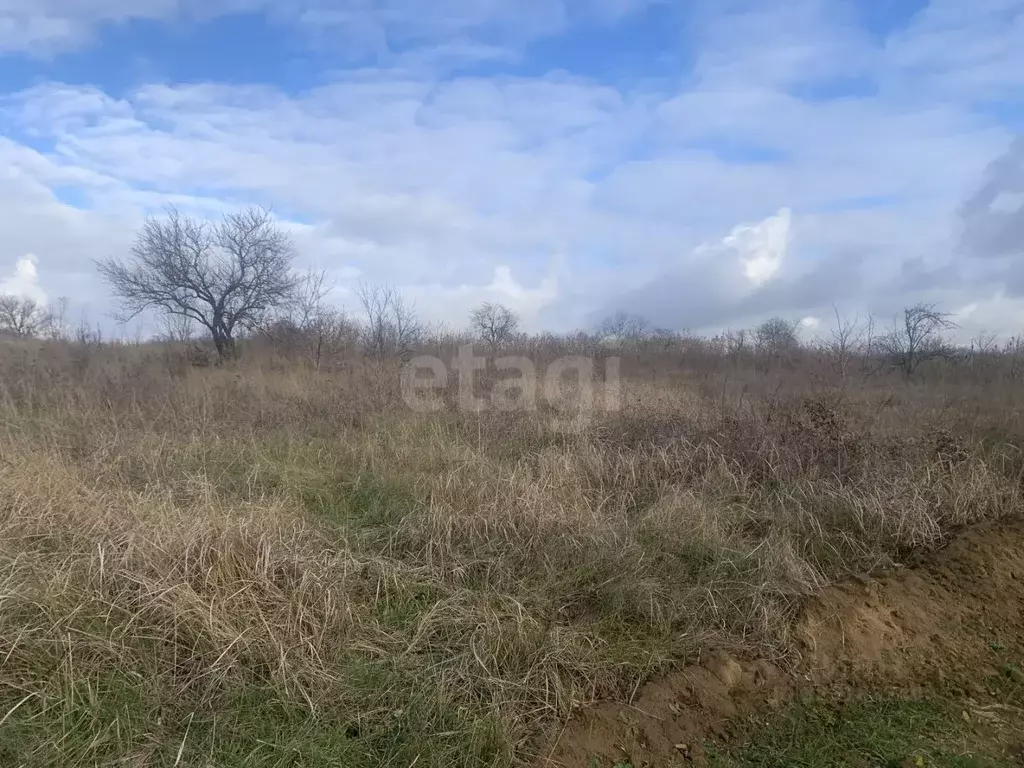 Участок в Краснодарский край, Темрюк Стимул СНТ,  (8.0 сот.) - Фото 2