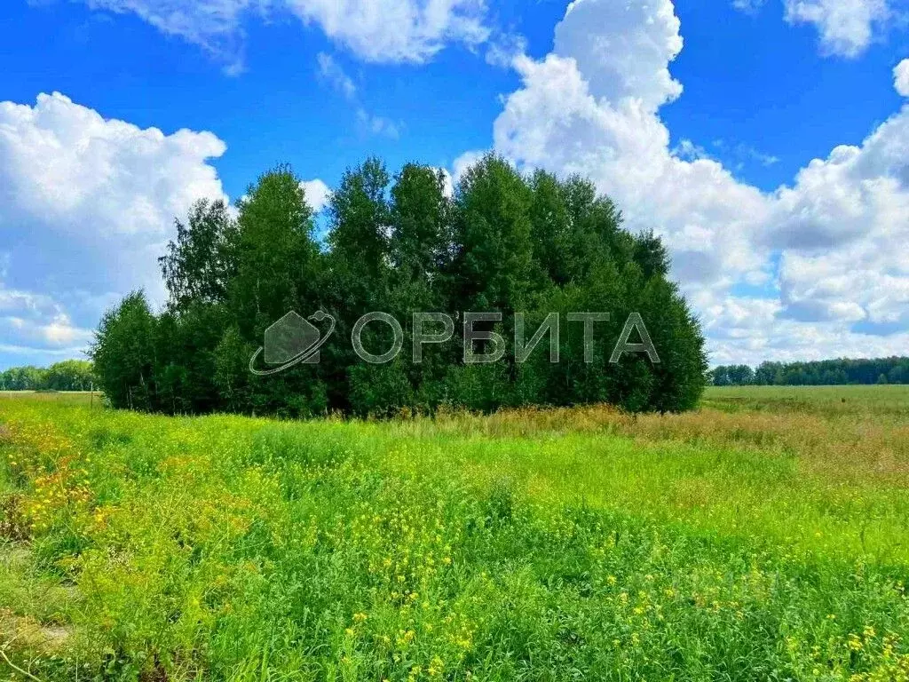 Участок в Тюменская область, Тюменский район, Новокаменский кп  (11.0 ... - Фото 0