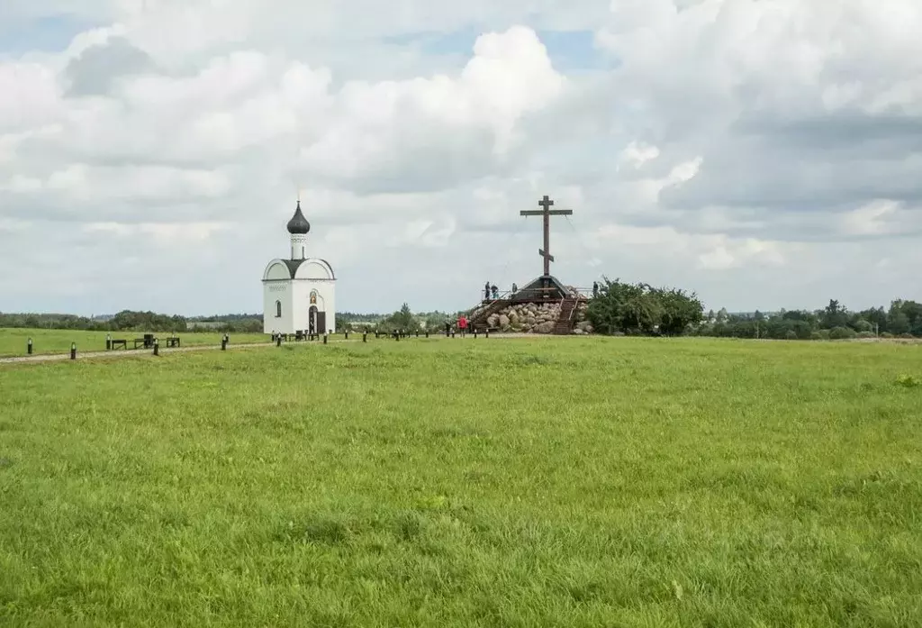 Участок в Псковская область, Печорский район, д. Третьяково  (50.0 ... - Фото 1