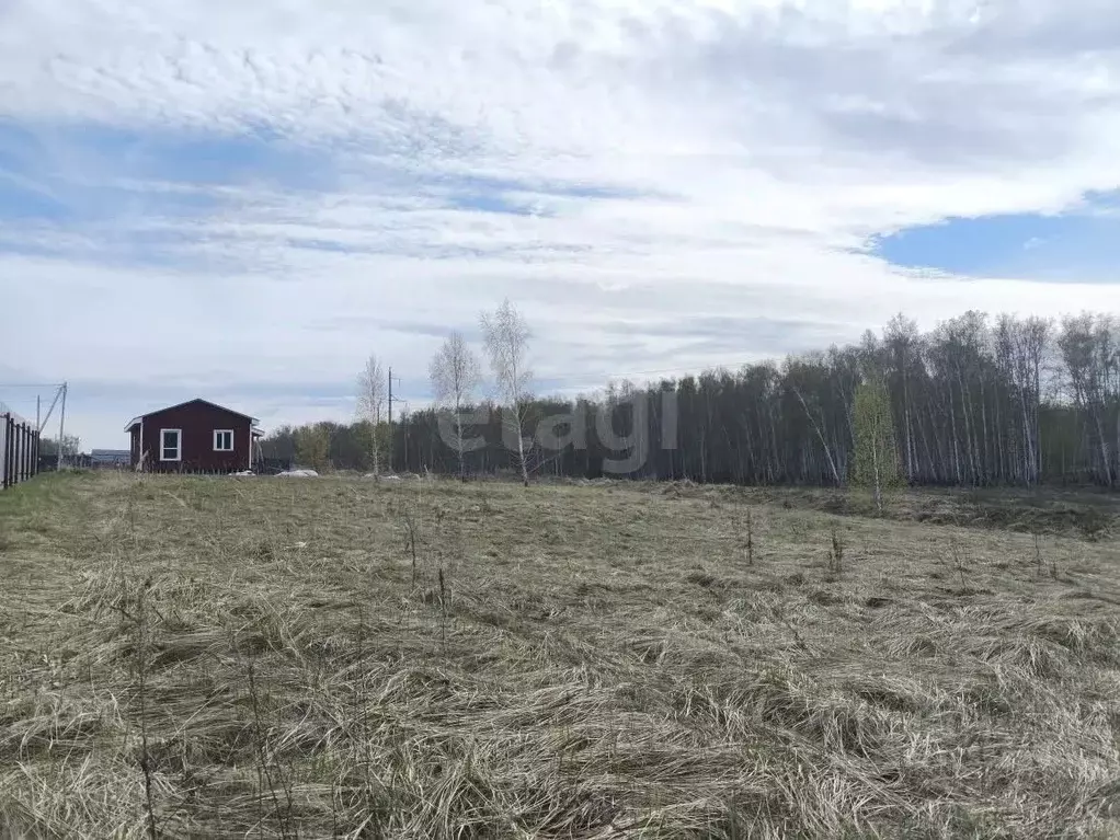 Участок в Челябинская область, Копейский городской округ, пос. ... - Фото 2
