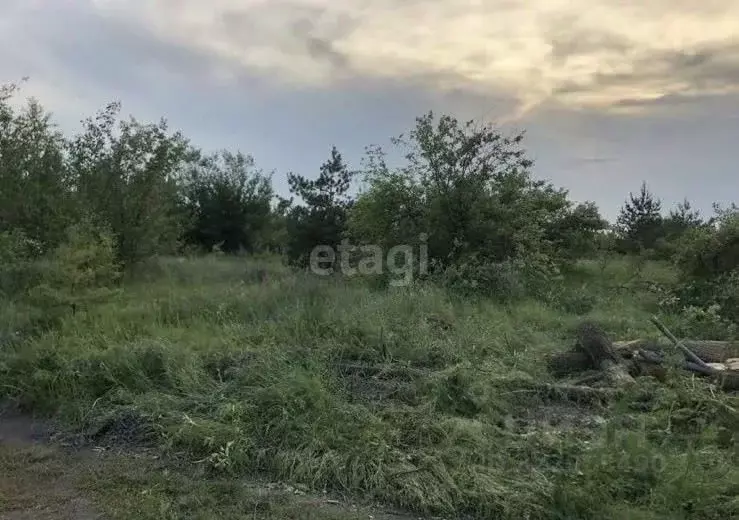 Участок в Воронежская область, Воронеж Иволга СНТ, 323 (6.0 сот.) - Фото 1