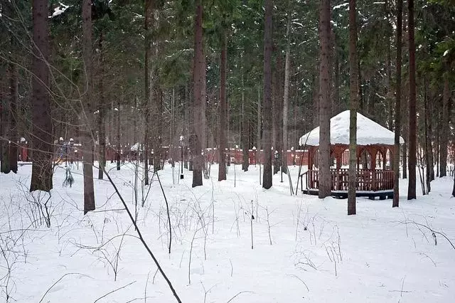 Участок 1,45 га (ИЖС) - Фото 0