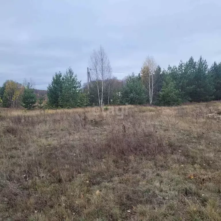 Участок в Владимирская область, Муром д. Коржавино, ул. Родниковая ... - Фото 1