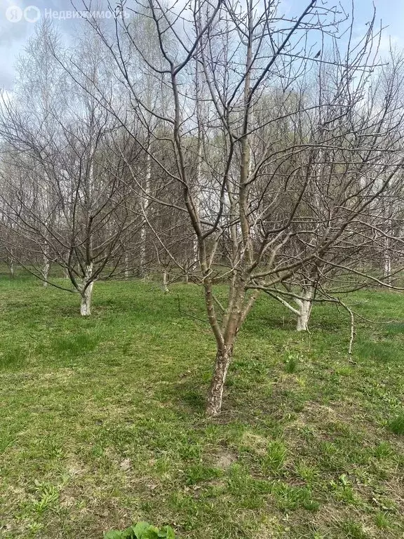 Дом в Новодеревеньковский район, село Судбище (123 м) - Фото 0