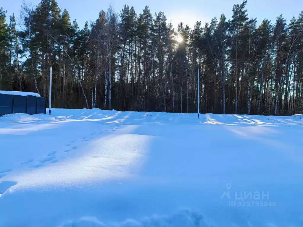 Участок в Московская область, Электроугли Богородский городской округ, ... - Фото 2